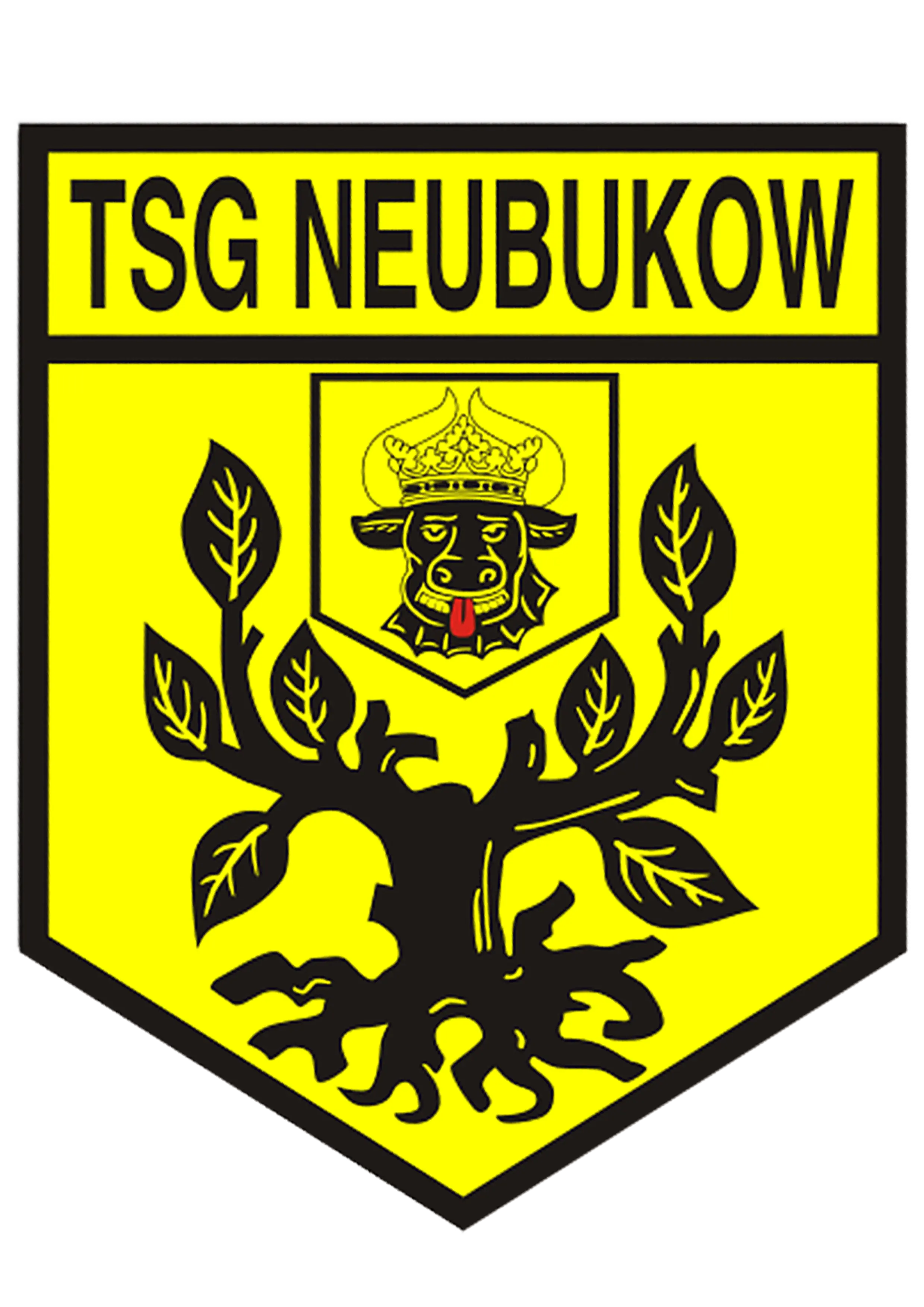 TSG Neubukow Logo